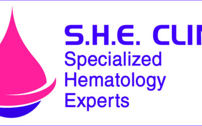 S.H.E. Clinic highlights shortcomings in women’s health